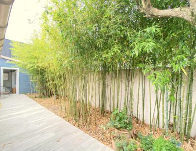 Limoux - 154 M2 Single-story Villa With Independent T2