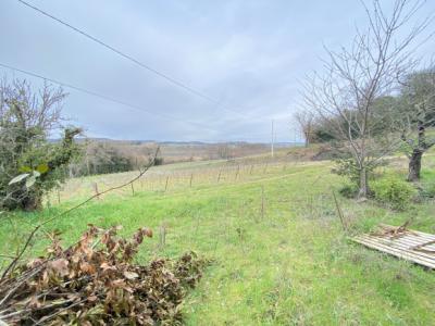 Exceptional Property Near Limoux -