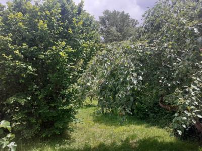 Haute-vallee, Detached 4-bedroom House With Garden And Garage