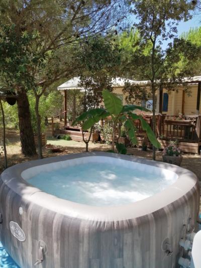 Gruissan, 3km From The Beaches, Renovated Character House With 5 Bedrooms, On A 2.5 Hectare Park, Wi