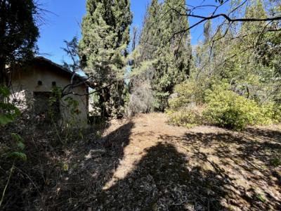 Village Est De Carcassonne: Charming Pp House With Shed And 1600 M2 Park