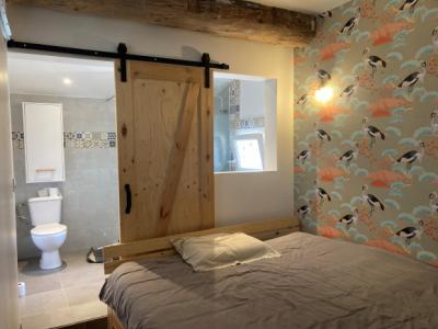 Carcassonne/lezignan Axis, Village House, 4 Bedrooms, 86m2 Living Room, Balconies, Large Garage And