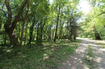 Country House With 18,000m2 Of Land