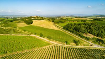 Limoux 10km Razes Sector - Exceptional Wine-growing Property On 36 Hectares In The Aude In Malepere