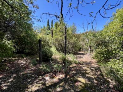 Village Est De Carcassonne: Charming Pp House With Shed And 1600 M2 Park