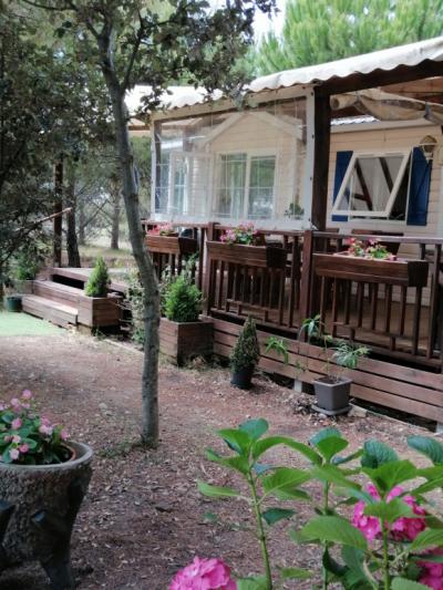 Gruissan, 3km From The Beaches, Renovated Character House With 5 Bedrooms, On A 2.5 Hectare Park, Wi