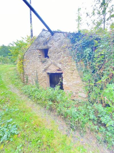 Farmhouse To Renovate