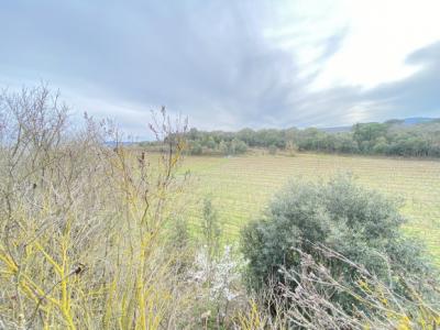 Exceptional Property Near Limoux -