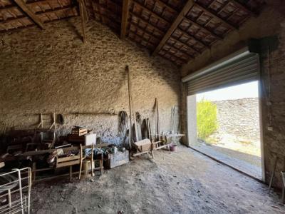 Village Est De Carcassonne: Charming Pp House With Shed And 1600 M2 Park