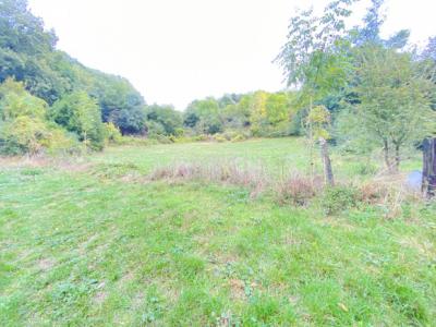 Farmhouse To Renovate