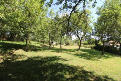 Upper Valley