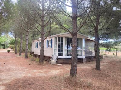 Gruissan, 3km From The Beaches, Renovated Character House With 5 Bedrooms, On A 2.5 Hectare Park, Wi