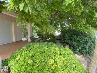 Near Limoux - Single-story Villa And Building With Hangar And Rented Apartment