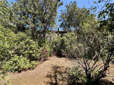 Village Est De Carcassonne: Charming Pp House With Shed And 1600 M2 Park