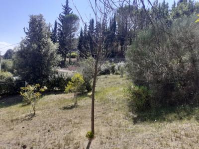 Villa With Large Garden And View Of Rennes-le-chateau