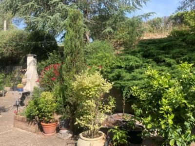 Carcassonne/limoux Axis, Single-story 5-bedroom Villa, Swimming Pool, Garage, Basement, Park.