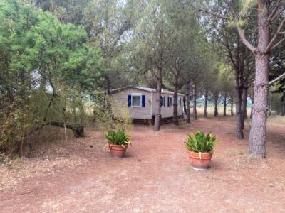 Gruissan, 3km From The Beaches, Renovated Character House With 5 Bedrooms, On A 2.5 Hectare Park, Wi
