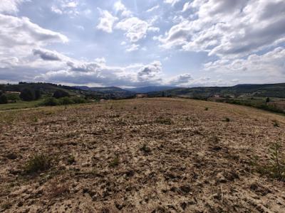 Limoux: Rare Land Of 14,120m2 South Facing