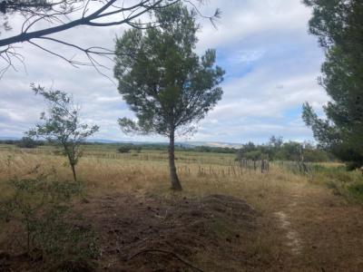 Gruissan, 3km From The Beaches, Renovated Character House With 5 Bedrooms, On A 2.5 Hectare Park, Wi