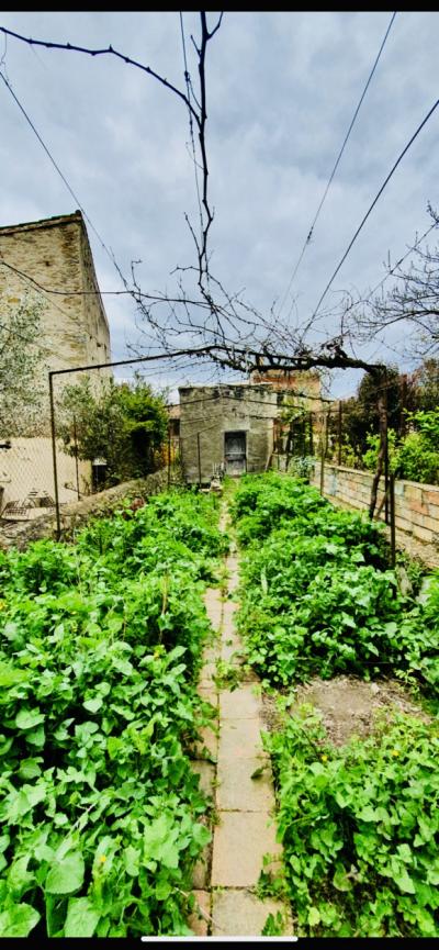 At The Foot Of The City House With Patio, Outbuilding And Garden