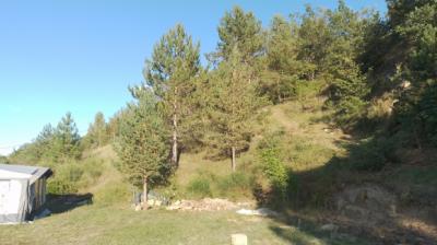 Occupied Life Annuity - Building Land Of 2855m2 With Permit In Progress And Temporary Housing 19m2