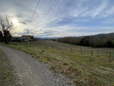 Exceptional Property Near Limoux -
