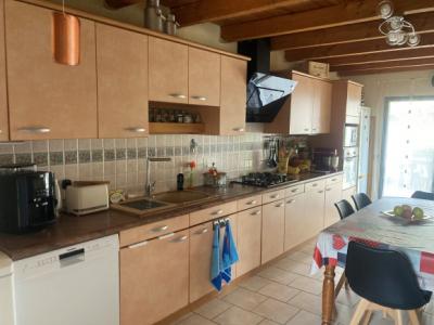 Carcassonne/limoux Axis, Single-story 5-bedroom Villa, Swimming Pool, Garage, Basement, Park.