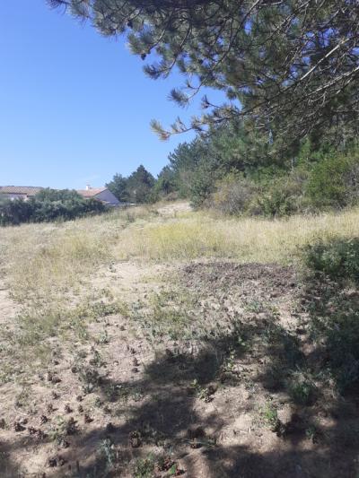 Couiza-building Land Of 2974 M2 + Attached Moorland Of 29643 M2