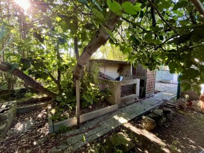 Pasteur District: Townhouse With Garden