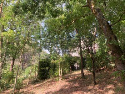 Carcassonne/limoux Axis, Single-story 5-bedroom Villa, Swimming Pool, Garage, Basement, Park.