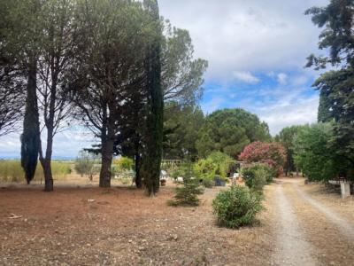 Gruissan, 3km From The Beaches, Renovated Character House With 5 Bedrooms, On A 2.5 Hectare Park, Wi