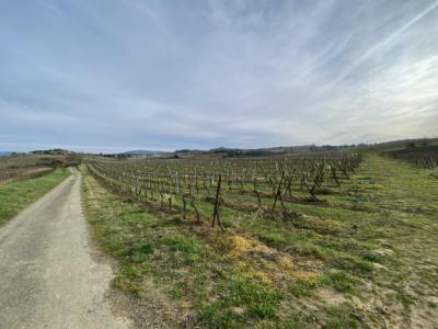 Exceptional Property Near Limoux -