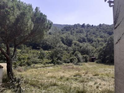 Very Nice Property On 1 Hectare Of Wooded Land, Quiet, With Access To The River And Swimming Pool.