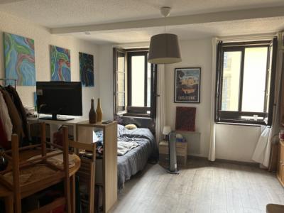 Furnished Studio 23.20 M2 - Carcassonne City Center