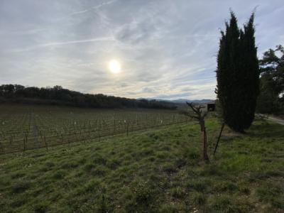 Exceptional Property Near Limoux -