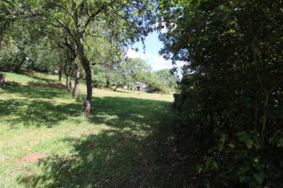 Upper Valley