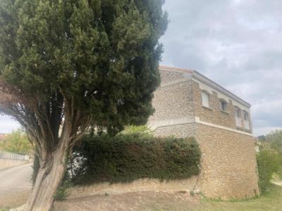 Carcassonne South, Real Estate Complex Consisting Of 2 Houses With Outbuildings On An Enclosed Garde