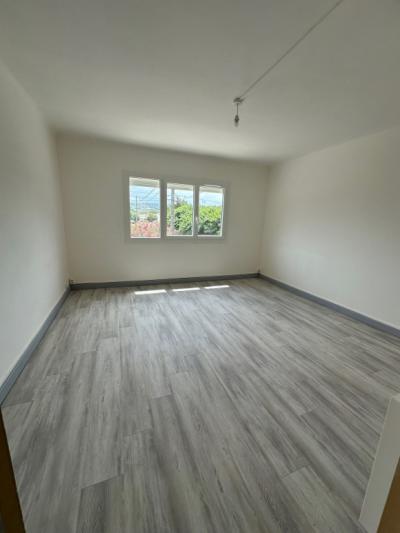 Brand Newly Renovated House