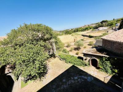 Carcassonne/narbonne Axis: Magnificent 430 M2 Mansion With Outbuildings And Garden