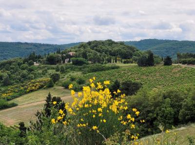 Villa Of 212 M2, On More Than 15,000 M2 Of Land, With Outbuildings And Breathtaking View.