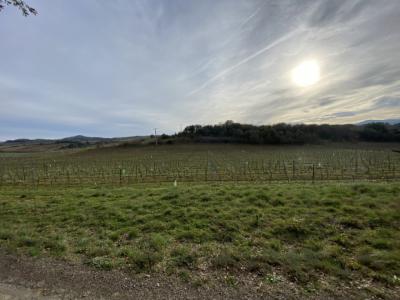 Exceptional Property Near Limoux -
