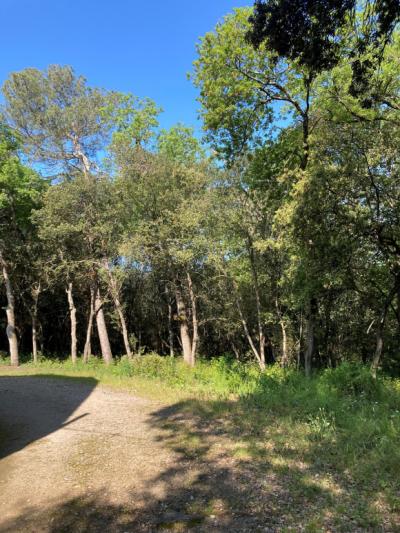 Carcassonne, 6-bedroom Architect-designed Villa On 1 Hectare Wooded Plot