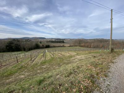 Exceptional Property Near Limoux -