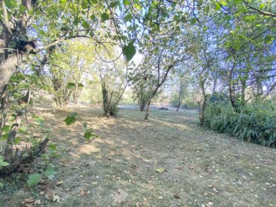 Near Limoux - House Of Character On Land Of More Than 6000 M2