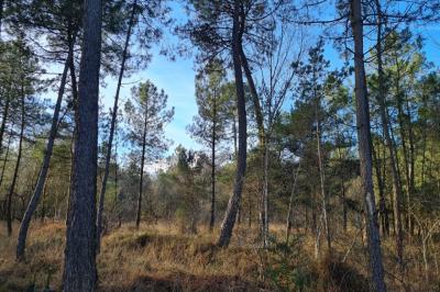 Land For Sale - 10 550 M2